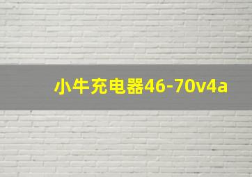 小牛充电器46-70v4a