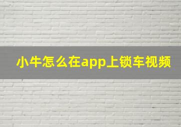 小牛怎么在app上锁车视频