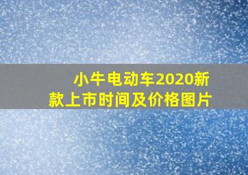 小牛电动车2020新款上市时间及价格图片