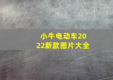 小牛电动车2022新款图片大全