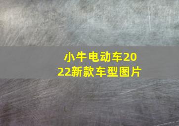 小牛电动车2022新款车型图片