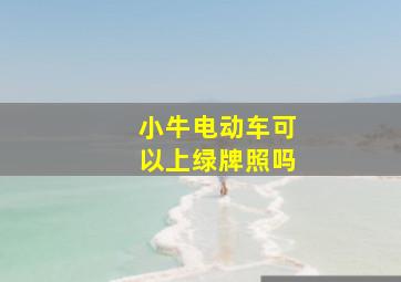 小牛电动车可以上绿牌照吗