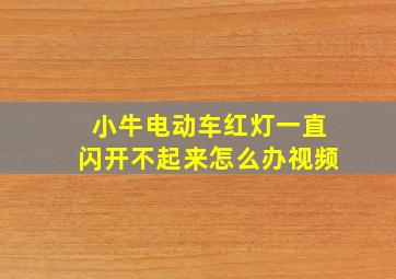 小牛电动车红灯一直闪开不起来怎么办视频