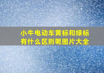 小牛电动车黄标和绿标有什么区别呢图片大全