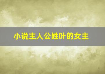 小说主人公姓叶的女主