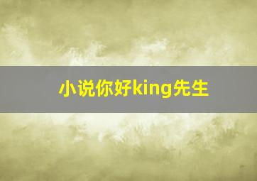 小说你好king先生