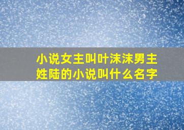 小说女主叫叶沫沫男主姓陆的小说叫什么名字