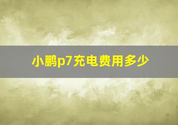 小鹏p7充电费用多少