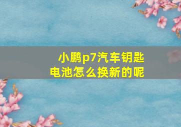 小鹏p7汽车钥匙电池怎么换新的呢