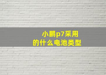 小鹏p7采用的什么电池类型