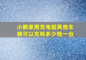 小鹏家用充电桩其他车辆可以充吗多少钱一台