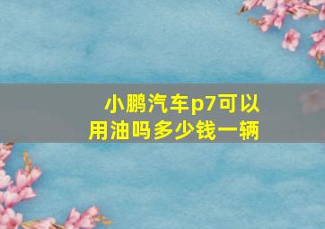 小鹏汽车p7可以用油吗多少钱一辆