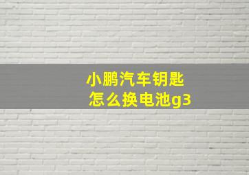 小鹏汽车钥匙怎么换电池g3