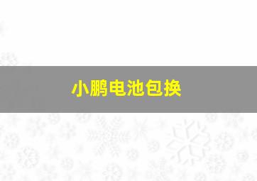 小鹏电池包换