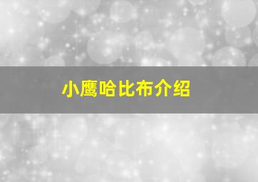 小鹰哈比布介绍