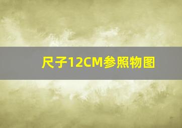 尺子12CM参照物图