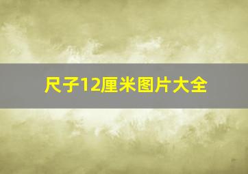 尺子12厘米图片大全