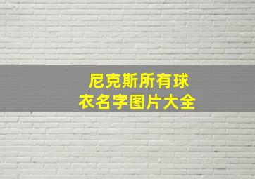 尼克斯所有球衣名字图片大全