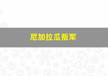 尼加拉瓜叛军