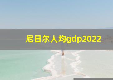 尼日尔人均gdp2022