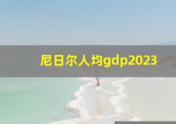 尼日尔人均gdp2023