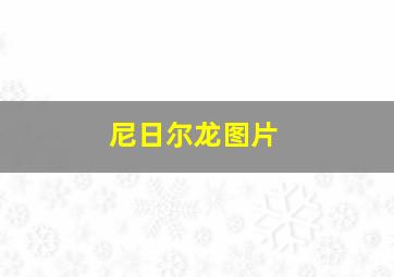 尼日尔龙图片