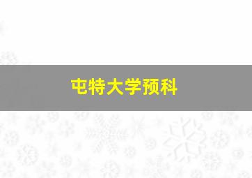 屯特大学预科