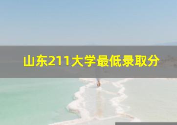 山东211大学最低录取分