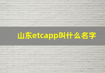 山东etcapp叫什么名字