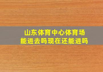 山东体育中心体育场能进去吗现在还能进吗