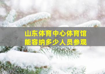 山东体育中心体育馆能容纳多少人员参观