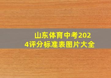 山东体育中考2024评分标准表图片大全