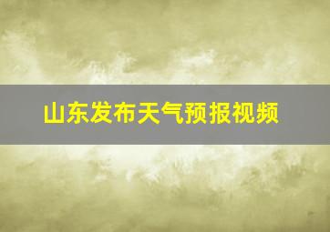 山东发布天气预报视频