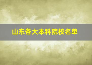 山东各大本科院校名单