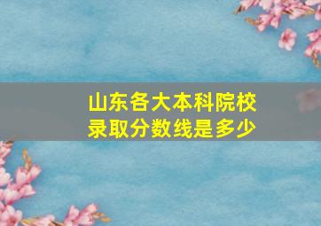 山东各大本科院校录取分数线是多少