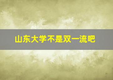 山东大学不是双一流吧