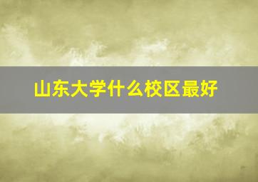 山东大学什么校区最好