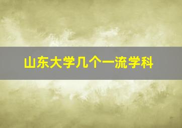 山东大学几个一流学科