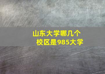 山东大学哪几个校区是985大学