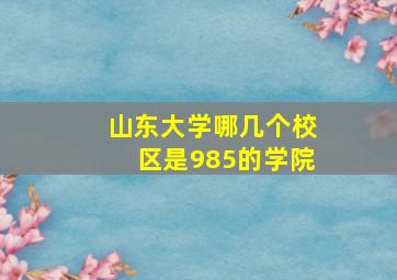 山东大学哪几个校区是985的学院