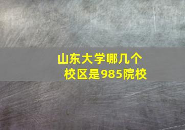 山东大学哪几个校区是985院校