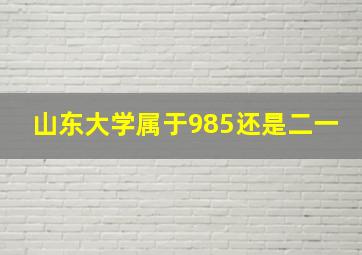 山东大学属于985还是二一