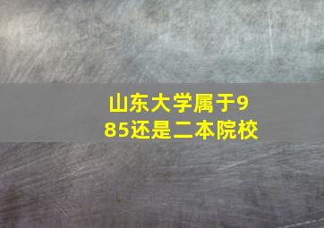 山东大学属于985还是二本院校