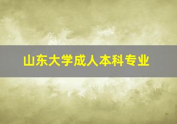 山东大学成人本科专业