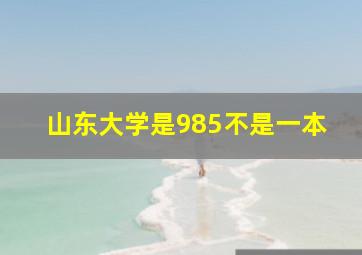 山东大学是985不是一本