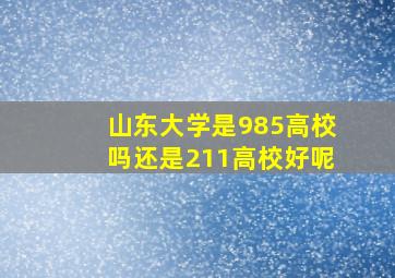 山东大学是985高校吗还是211高校好呢