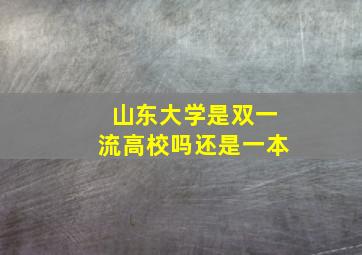 山东大学是双一流高校吗还是一本