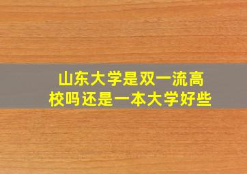 山东大学是双一流高校吗还是一本大学好些