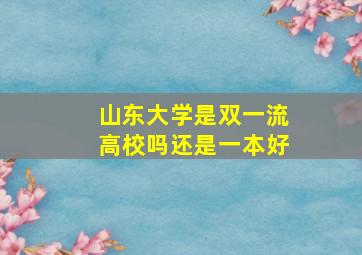 山东大学是双一流高校吗还是一本好