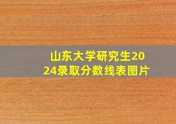 山东大学研究生2024录取分数线表图片